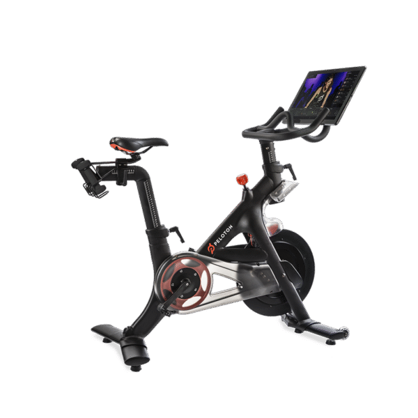Back Support Belt